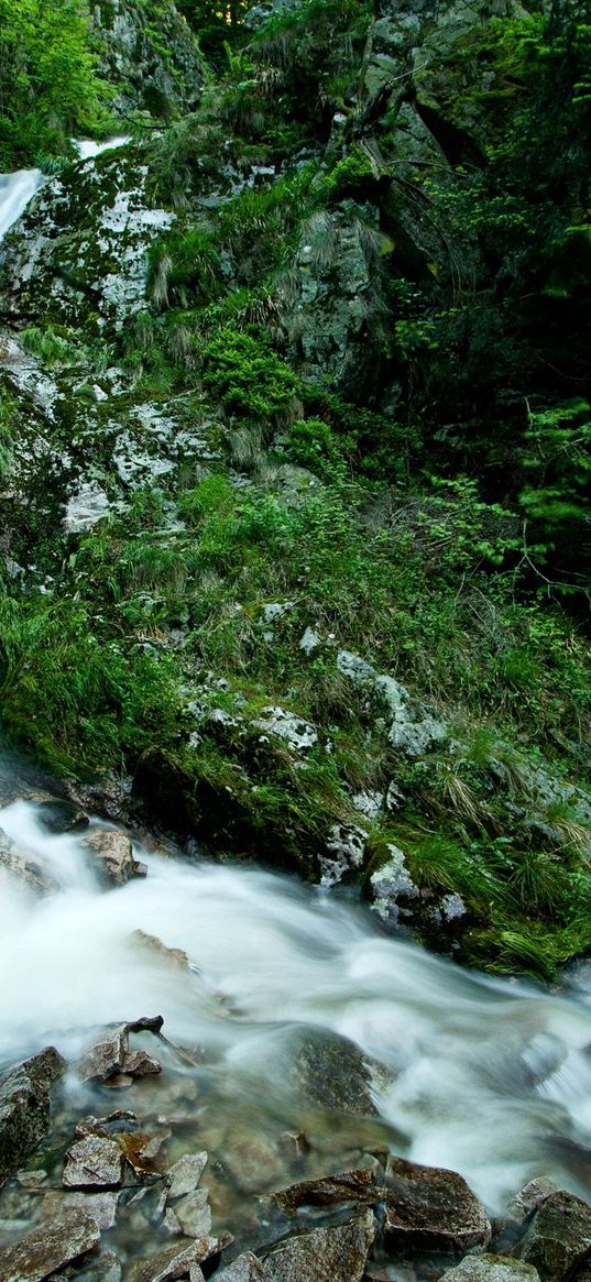 falls, rocks, mountains, greens, wood, stream, stones