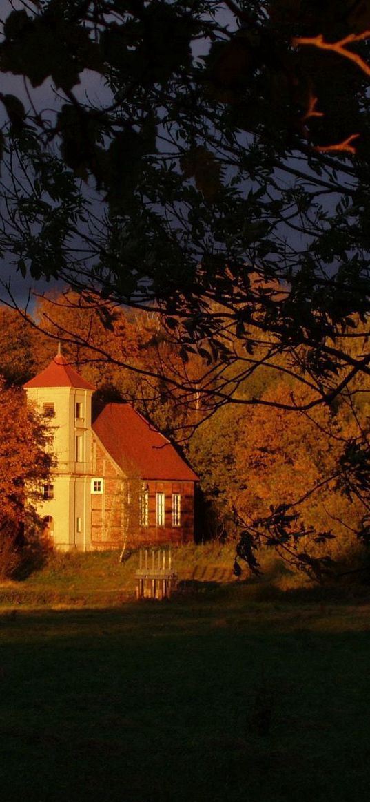 house, trees, autumn, branches, shade, clouds, sky