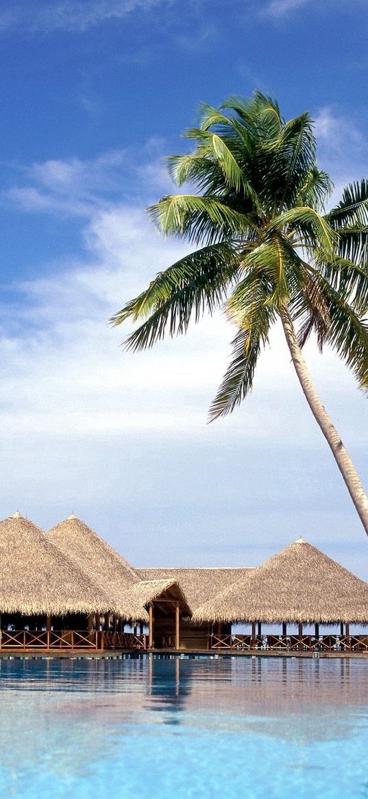 maldives, resort, palm trees, arbors, water, sky