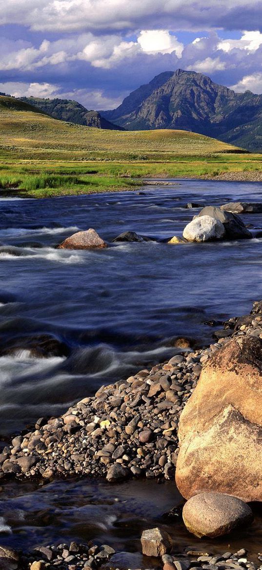 stones, mountain river, greens, day