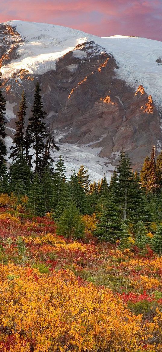 mountains, trees, fur-trees, autumn, colors, green, yellow, snow, top