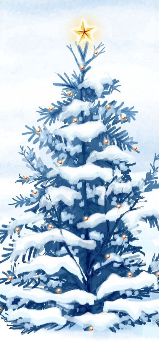 spruce, star, snow