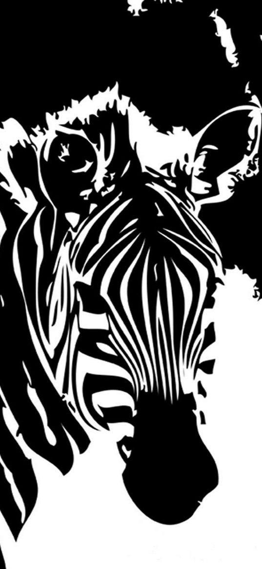 zebra, flowers, lines, graphics