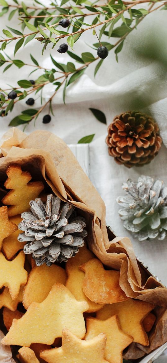 cookies, cones, branches, berries, table, pastries, food, christmas, new year, holiday