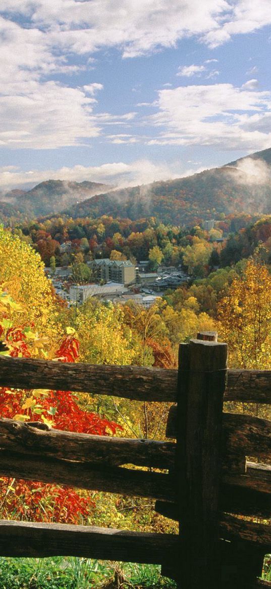 fence, logs, autumn, trees, colors