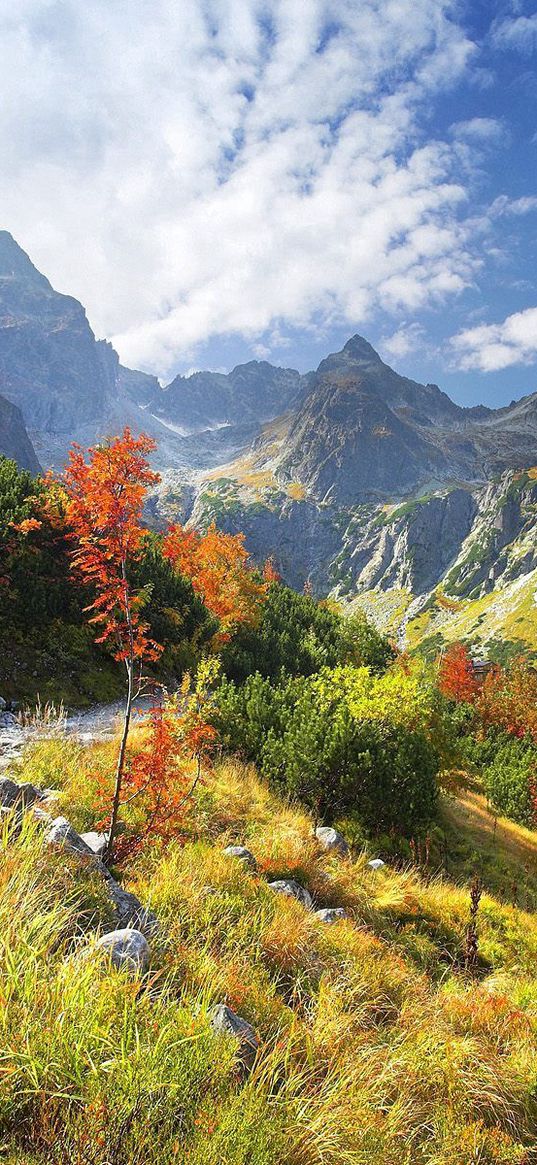 mountains, vegetation, road, stones, autumn