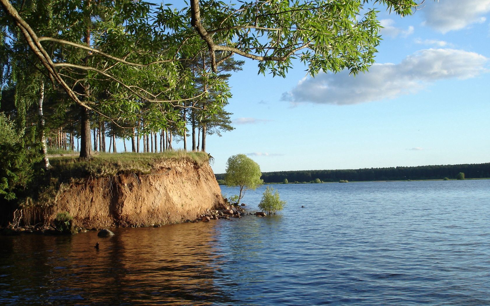 river, water, tree, branch, bush, coast, clay