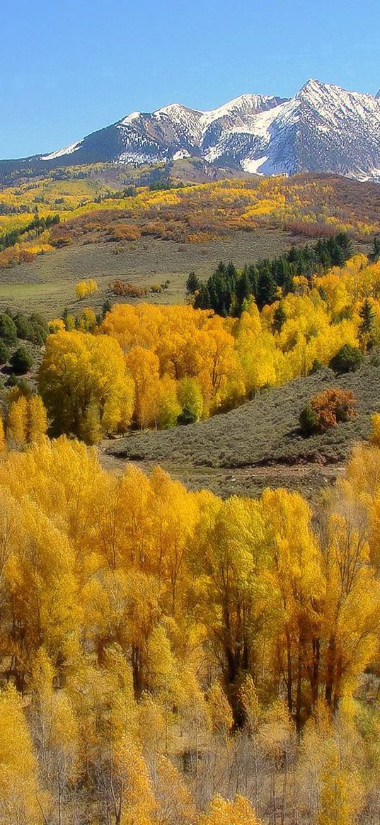 mountains, slopes, trees, yellow, autumn