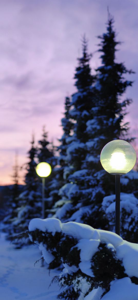 lamps, snow, winter, evening