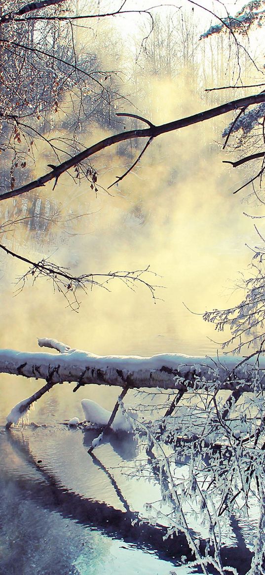 winter, lake, tree, snow, steam, morning