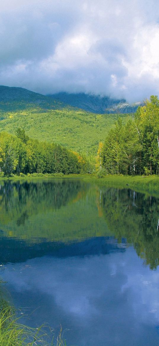 river, smooth surface, trees, hills, water