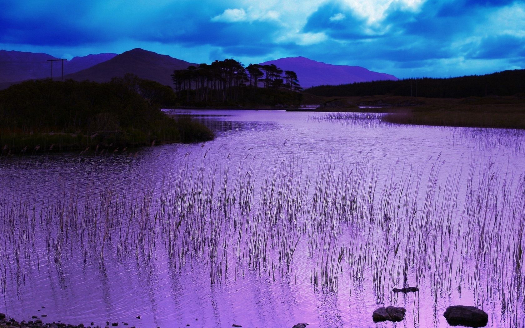 reservoir, grass, pink, evening