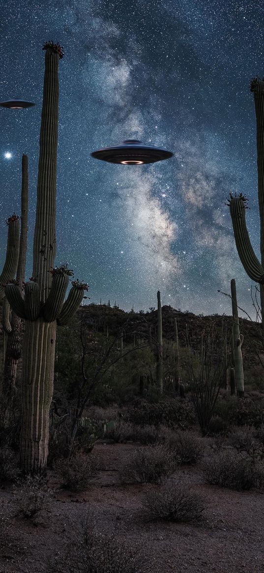 cerrado, cacti, starry sky, flying saucer