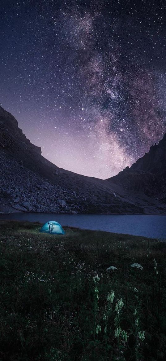 field, flowers, camp, lake, mountain, sunset, starry sky