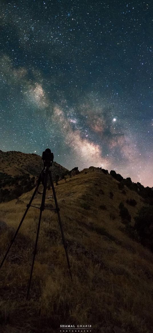 savannah, mountain, observer, milky way, starry sky, stars, night