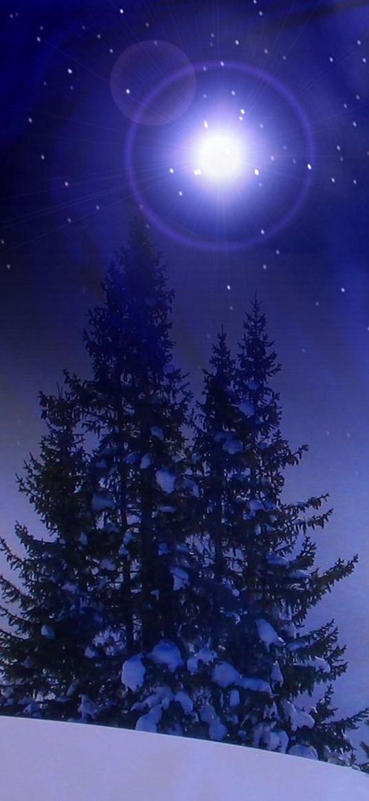 christmas trees, snow, winter, midnight, blizzard