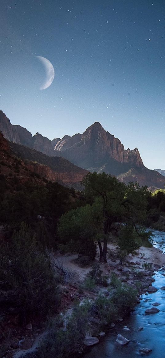 river, bank, trees, savannah, mountain, blue sky, stars, moon