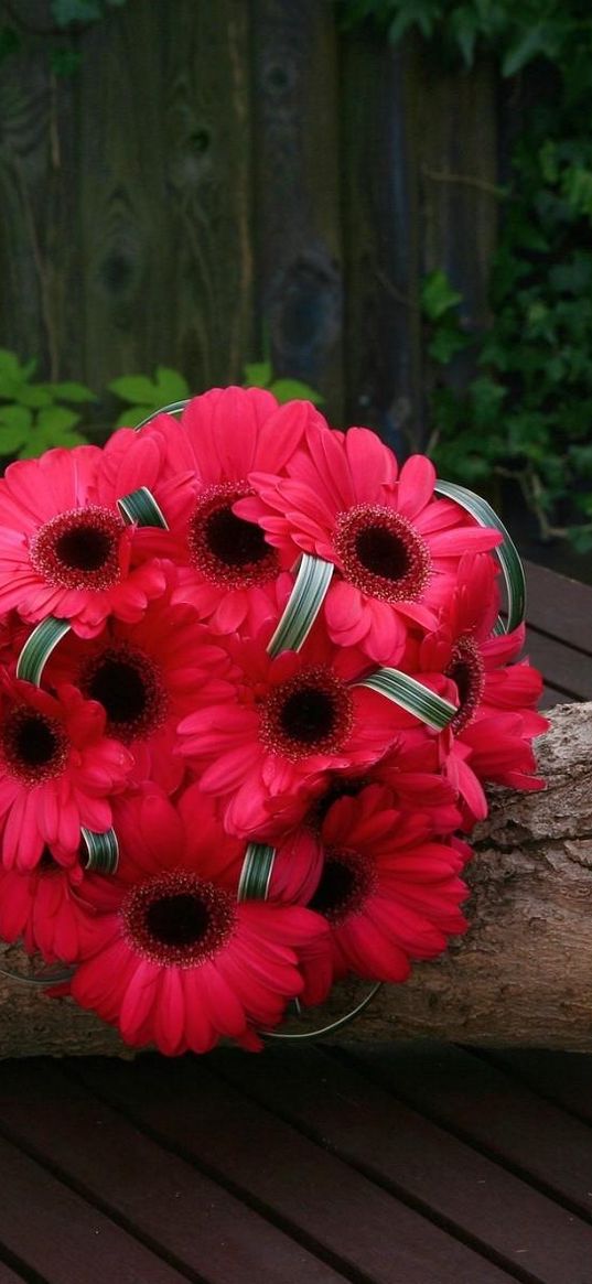 gerbera, flowers, white, red, timber