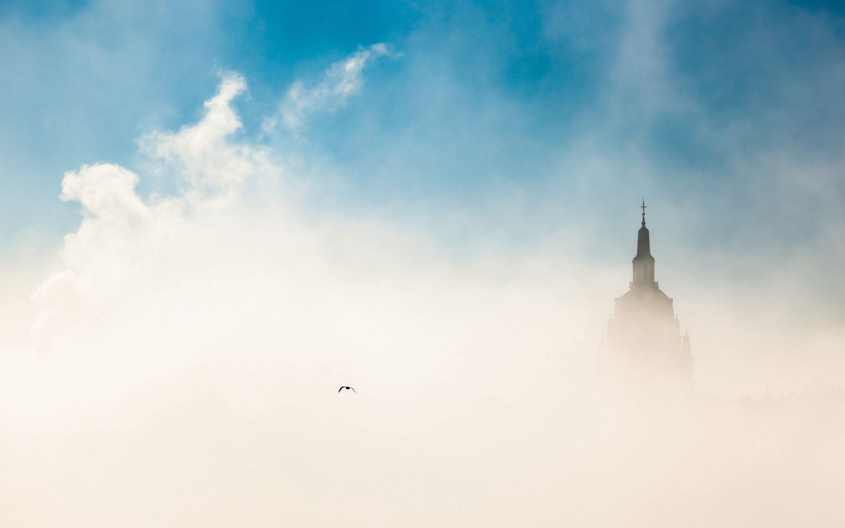 city, budapest, morning, fog, sky, bird