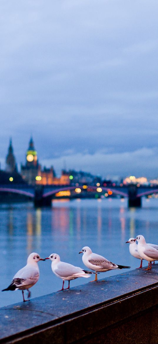 city, london, england, street, river, gulls, lamps, light, bokeh