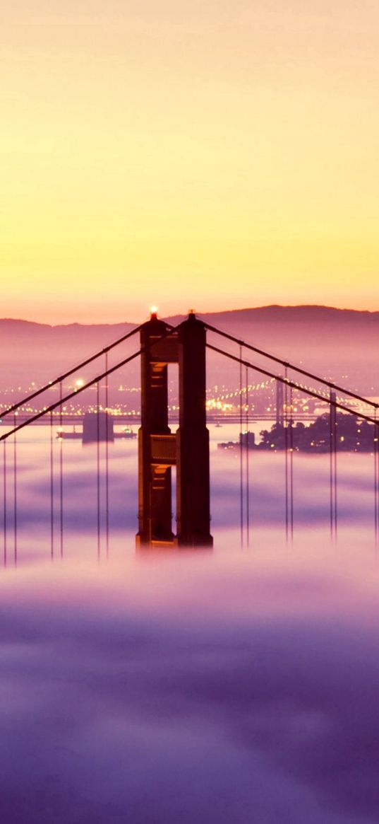 sunset, bridge, san francisco, fog lights, buildings