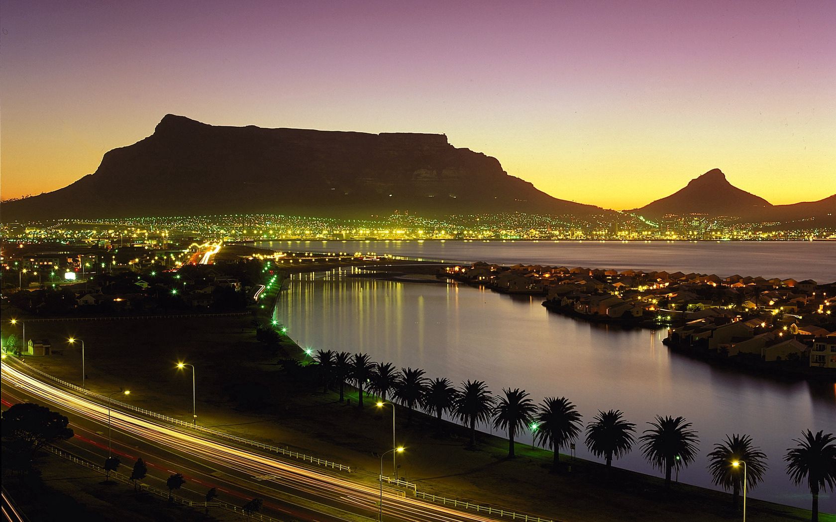 cape town, south africa, night lights, palm trees, beach