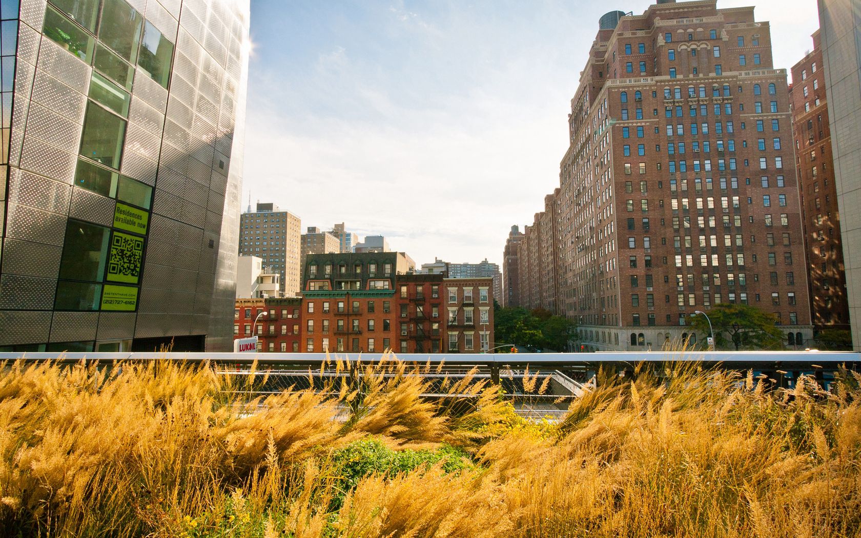 new york, buildings, streets, grass, sky