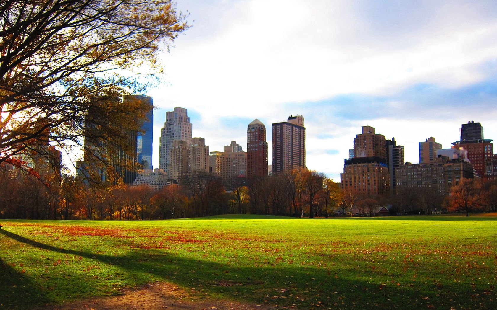 park, evening, new york, foliage, home