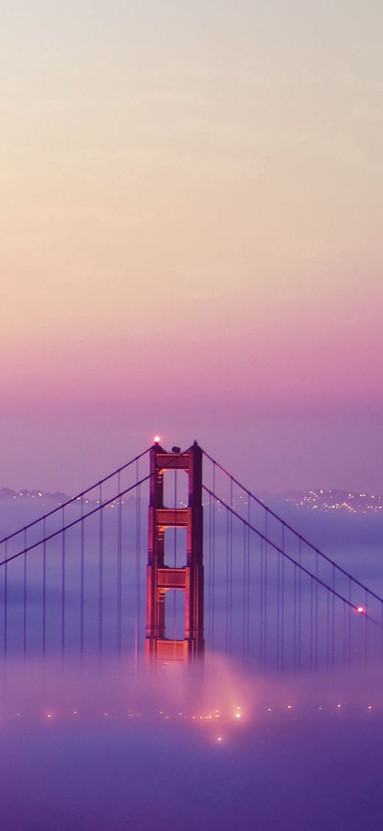 san francisco, fog, lights, bridge