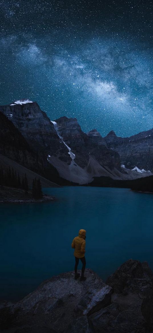 lake, forest, mountain, starry sky, night, traveller, person, nature