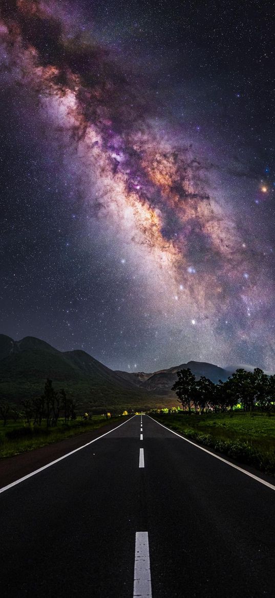 road, savannah, trees, mountain, starry sky, landscape, nature