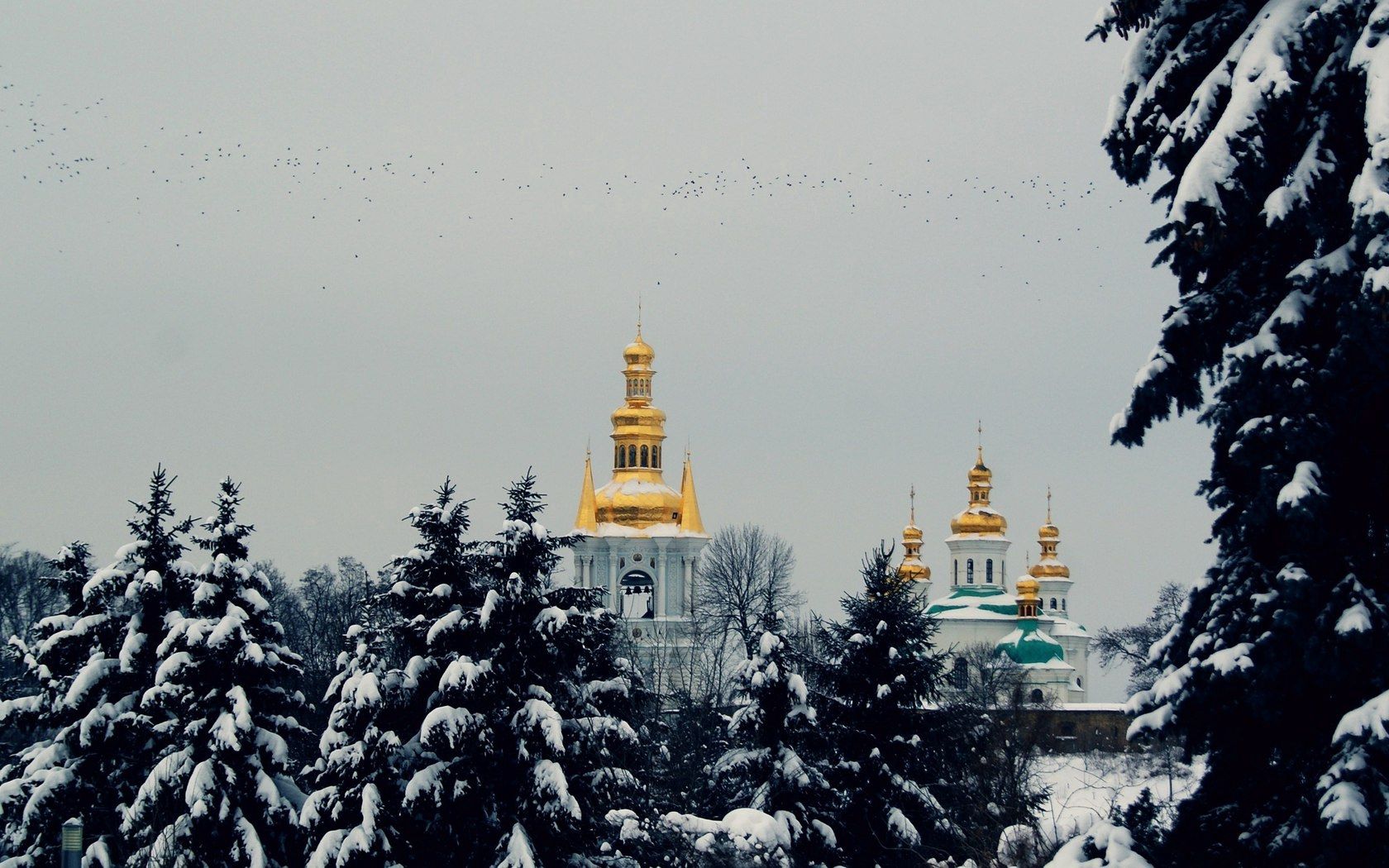 city, winter, snow, church, trees, pine trees, sky, flying, birds, mood