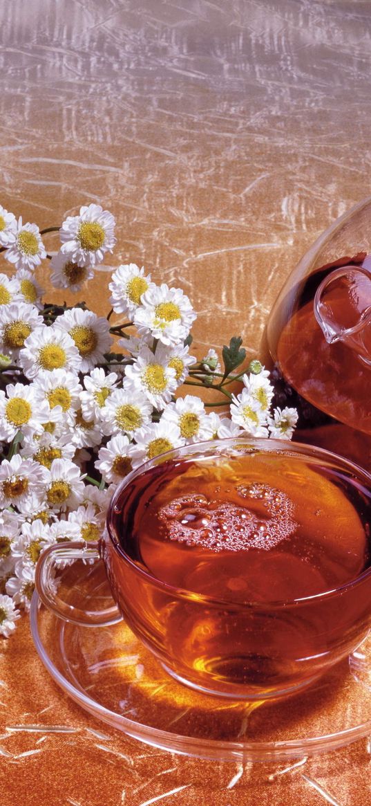 tea, drink, cup, decanter, camomile, flowers