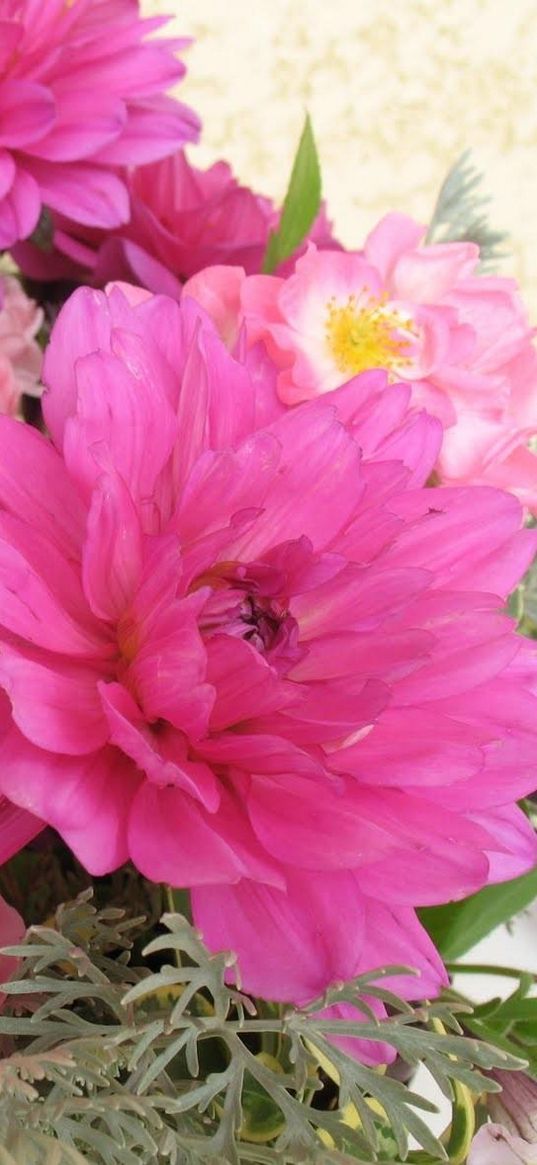 dahlias, flowers, different, basket