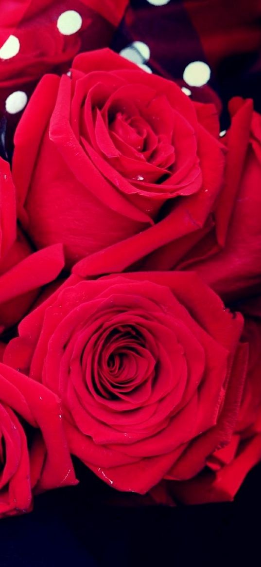 rose, flowers, bouquet, bright, hand, tattoo