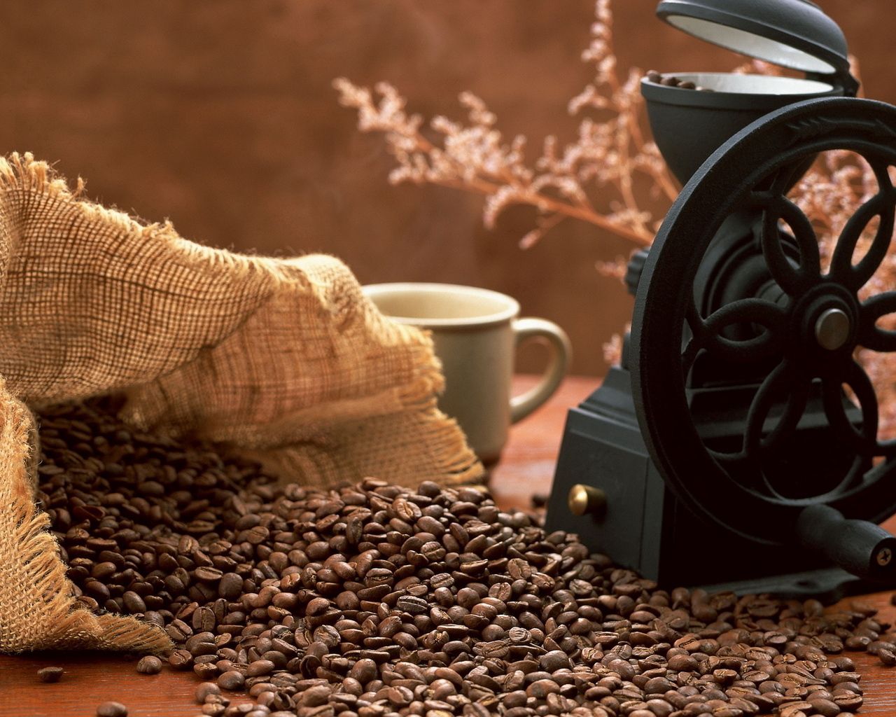 coffee, grains, coffee grinder, cup, bag