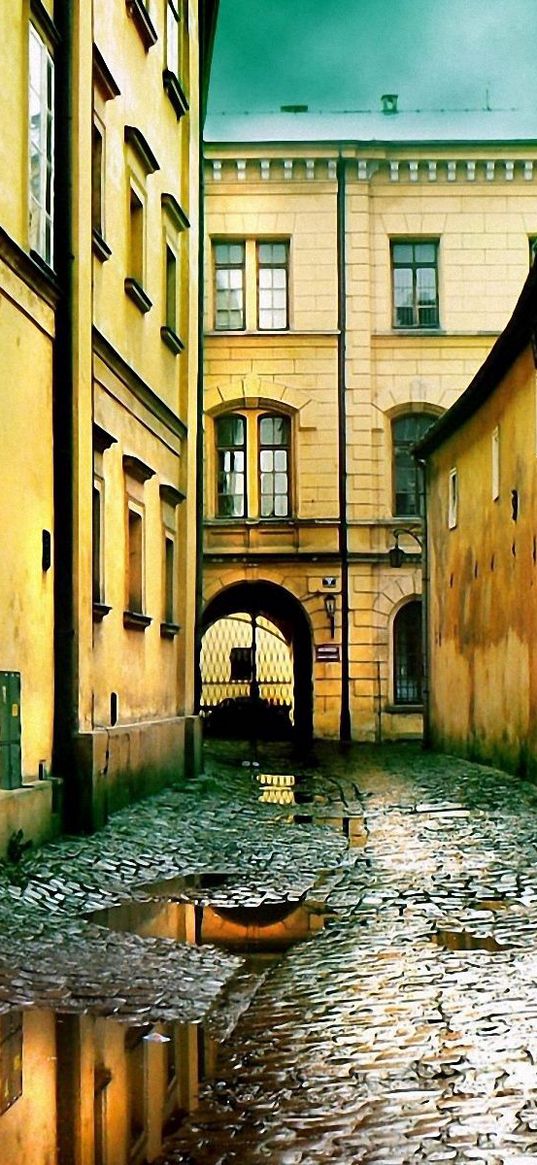 street, puddles, buildings