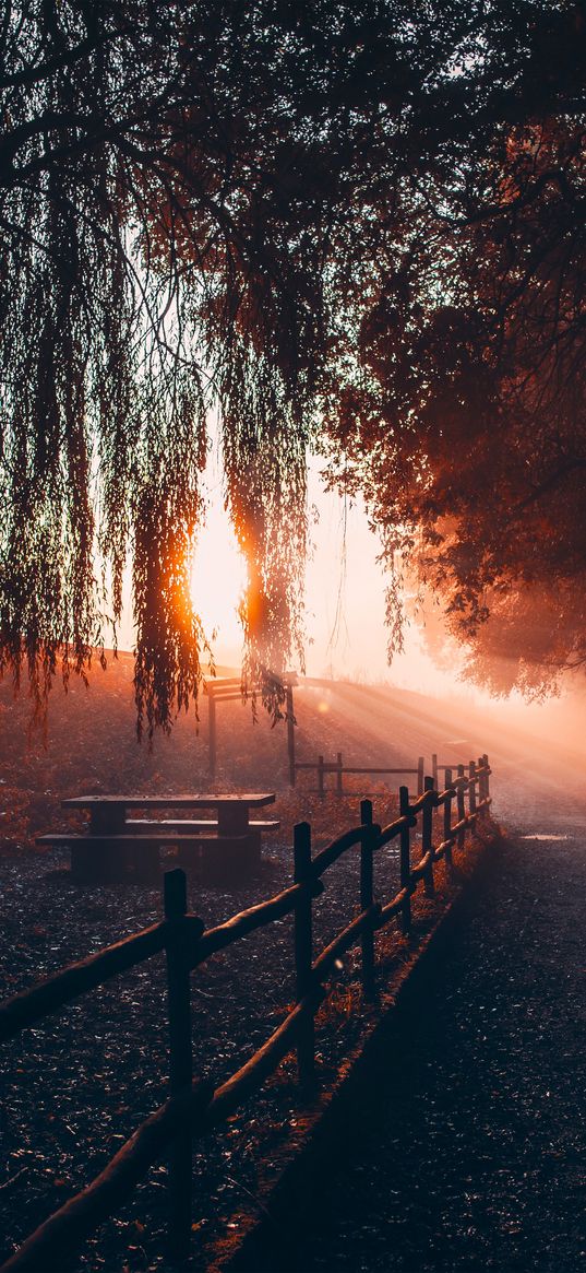 fence, road, sunset, sun rays, trees, aesthetics