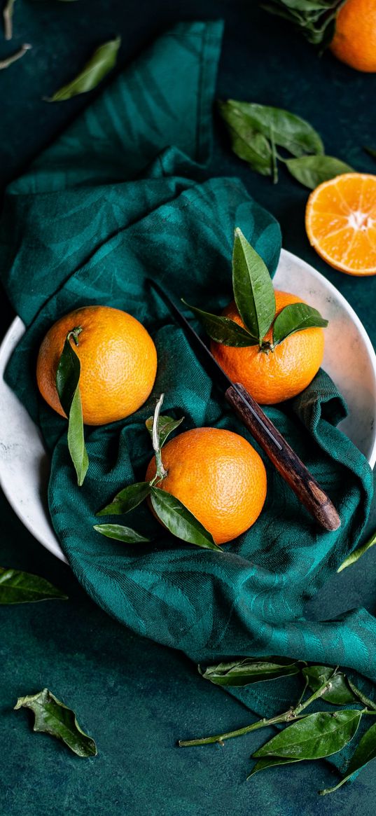 fruits, tangerines, food, green, leaves, knife, decor