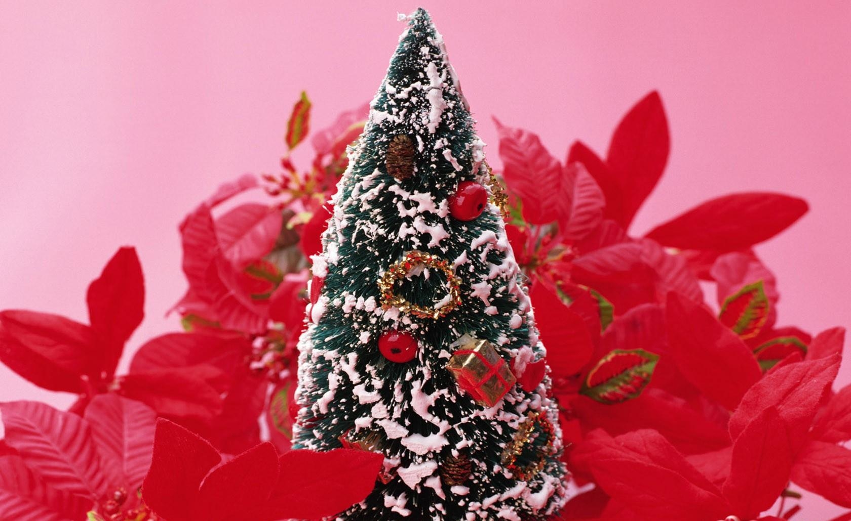 christmas tree, toy, snow, flowers