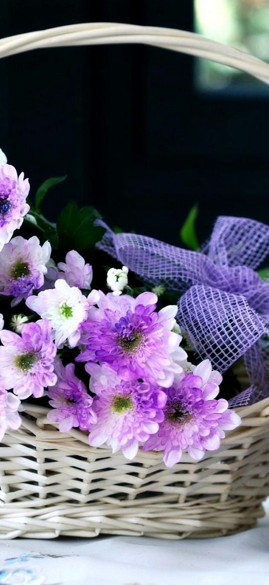 chrysanthemums, flowers, basket, candle, bow, decoration