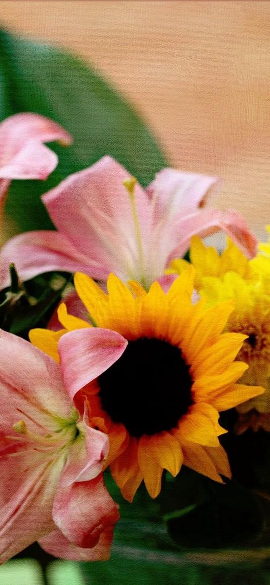 lilies, sunflowers, chrysanthemums, flowers, bouquet, bucket