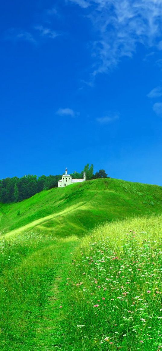 field, chapel, structure, green, summer, grass, brightly, meadow, flowers