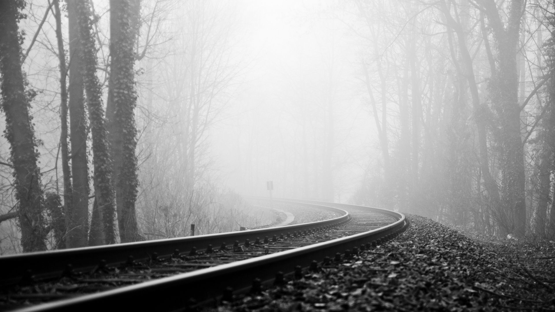 rails, railway, fog, turn, black-and-white, gloomy