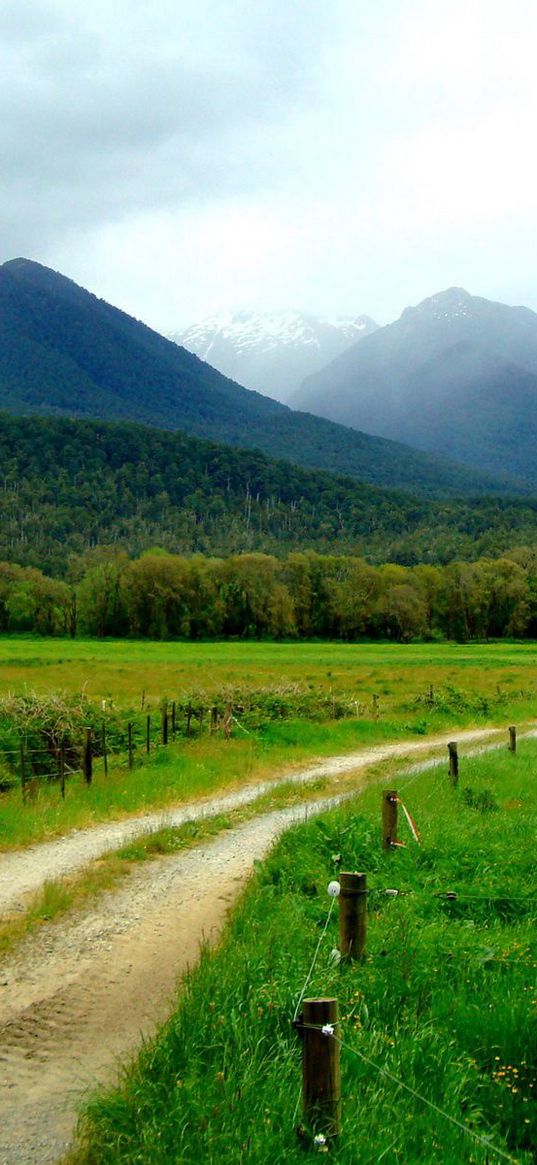 road, country, field, protections, stakes, wire, green, summer, mountains, fog