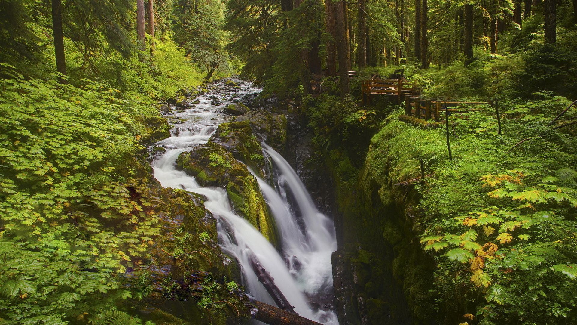 falls, break, wood, stream, protection, river, leaves, moss, greens