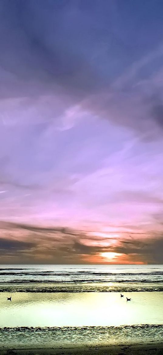 sky, horizon, clouds, birds, flight, ease, pastel, coast