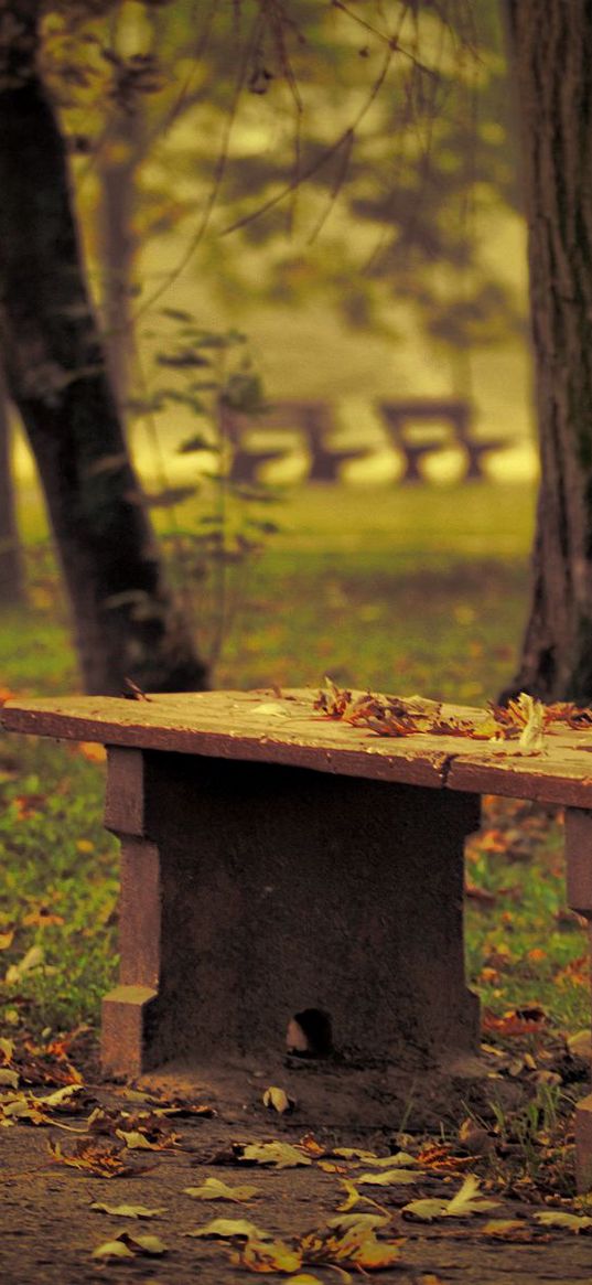 bench, park, leaves, autumn, trees, loneliness