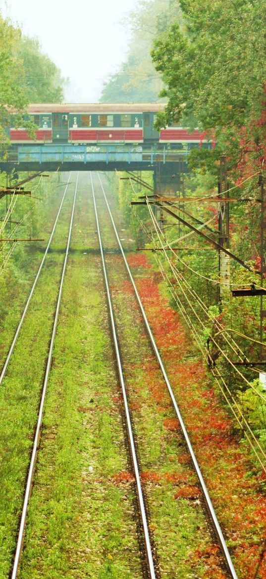 rails, ways, tram, greens, wires, vegetation