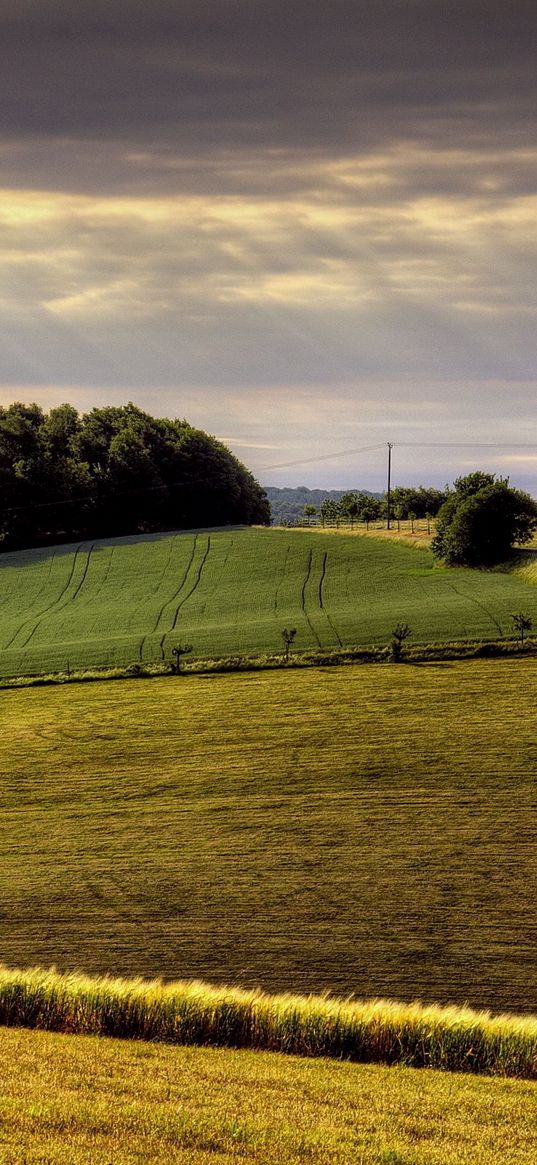 field, arable land, agriculture, hills, road, day